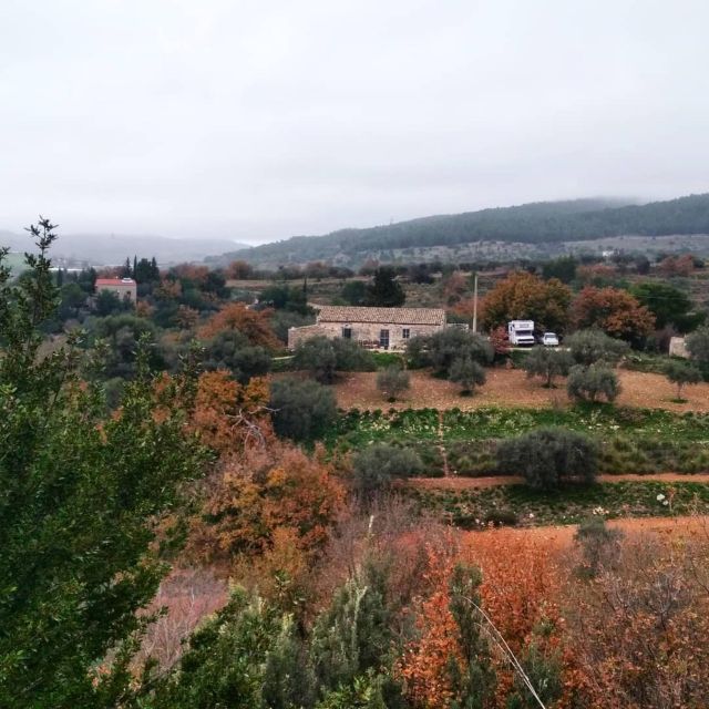 Ragusa Countryside Home Cooking Class & Meal - Inside the kitchen: fresh pasta, mains, and vegetables you actually want to cook