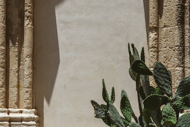 Ragusa Ibla Walking and Photography Tour - Palazzo Cosentini and Circolo di Conversazione: framing civic beauty