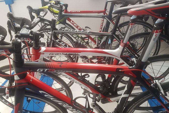 Rent road bike - Carbon vs Aluminum: Choosing the Right Ride for Palermo