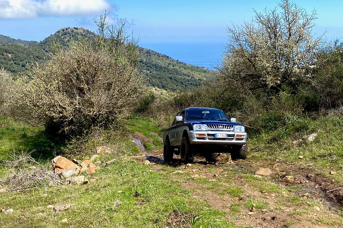 Safari Jeep Wild Adventure - What Makes the Guide Experience Matter (Emanuel’s Impact)
