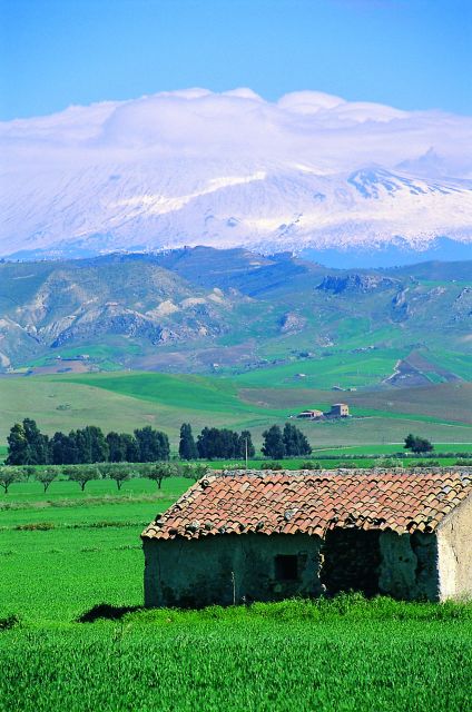 Scenic Tour of Etna foot hills and Alcantara Gorges - Why Alcantara and Etna Belong in the Same Day