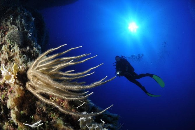 Scuba Diving Experience - What you’ll remember most
