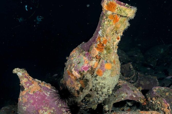 Scuba Diving Experience - Your guide, your gear, and the comfort factor