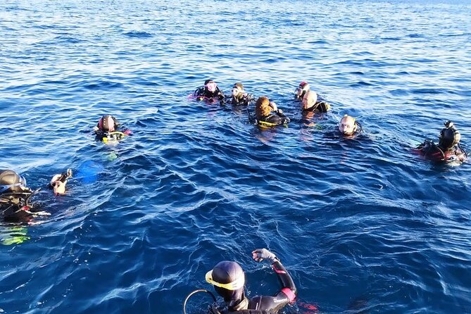 Scuba Diving Experience - Timing, group size, and what your day feels like