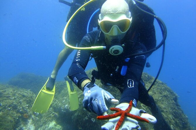 Scuba Diving Experience - Who this tour is best for in real life