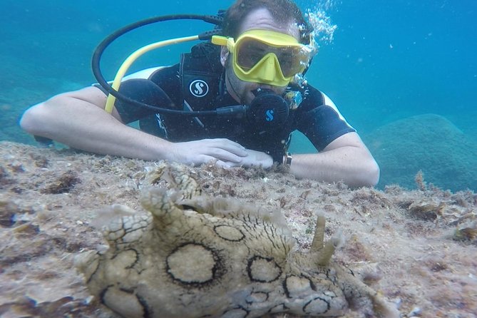 Scuba Diving Experience in Taormina - Practical Tips to Make Your Morning Easier