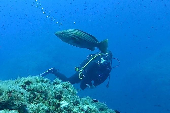 Scuba Experience - Key things to know before you go