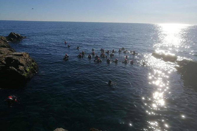 Scuba Experience - What Happens in the 2 Hours: Your Shallow-Water Flow