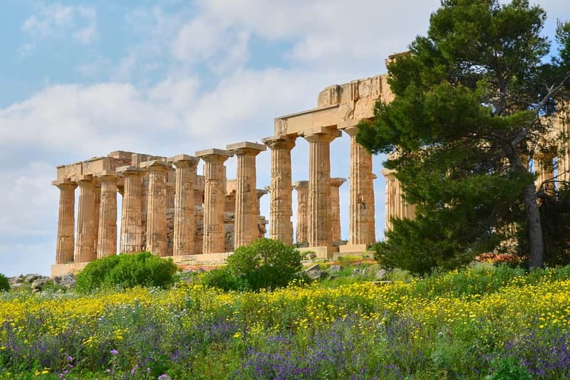 Selinunte: Archeological Park Entry Ticket & App Audioguide - Key Things I’d Plan Around