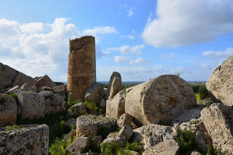Selinunte: Archeological Park Entry Ticket & App Audioguide - Selinunte Park: what you really get for your day pass