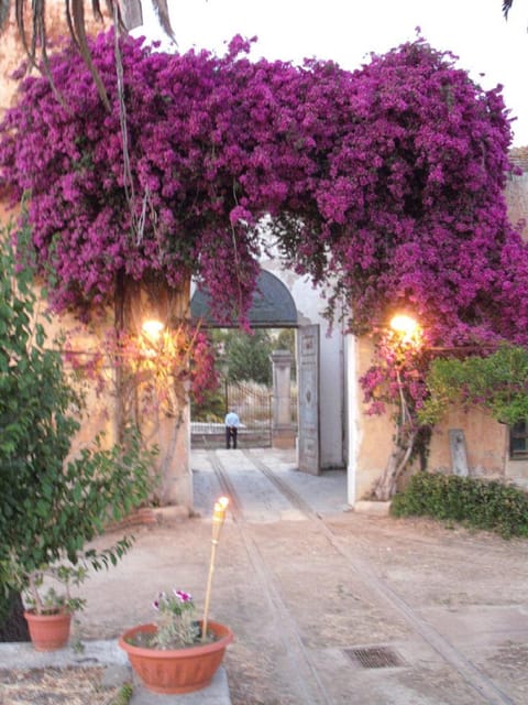 Sicilian cooking class in the historic baglio Florio Adamo - A Real Sicilian Menu, Not Just One Dish