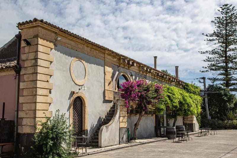 Sicilian Soul: Winery Tour, Wine & Food Tasting in Catania - Key highlights you should care about