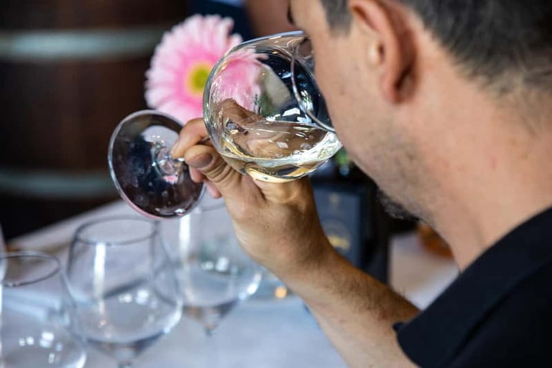 Sicilian Soul: Winery Tour, Wine & Food Tasting in Catania - Who this tour suits best, and who might want something else