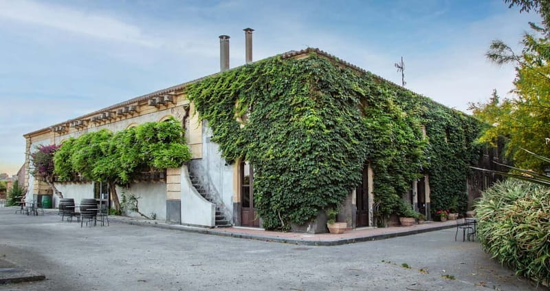Sicilian Soul: Winery Tour, Wine & Food Tasting in Catania - Sicilian wine and food in a real farm setting