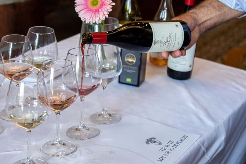 Sicilian Soul: Winery Tour, Wine & Food Tasting in Catania - Palmento vs garden: two atmospheres, same flavor focus