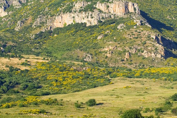 Sicilian Villages & Ricotta Tasting - including Lunch from Cefalu - A packed Madonie day from Cefalù: what you are really buying
