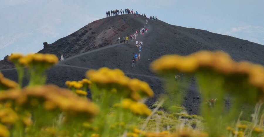 Sicily: Mount Etna's North Slope Craters Guided Hike Tour - Key things you will notice on this Mount Etna hike