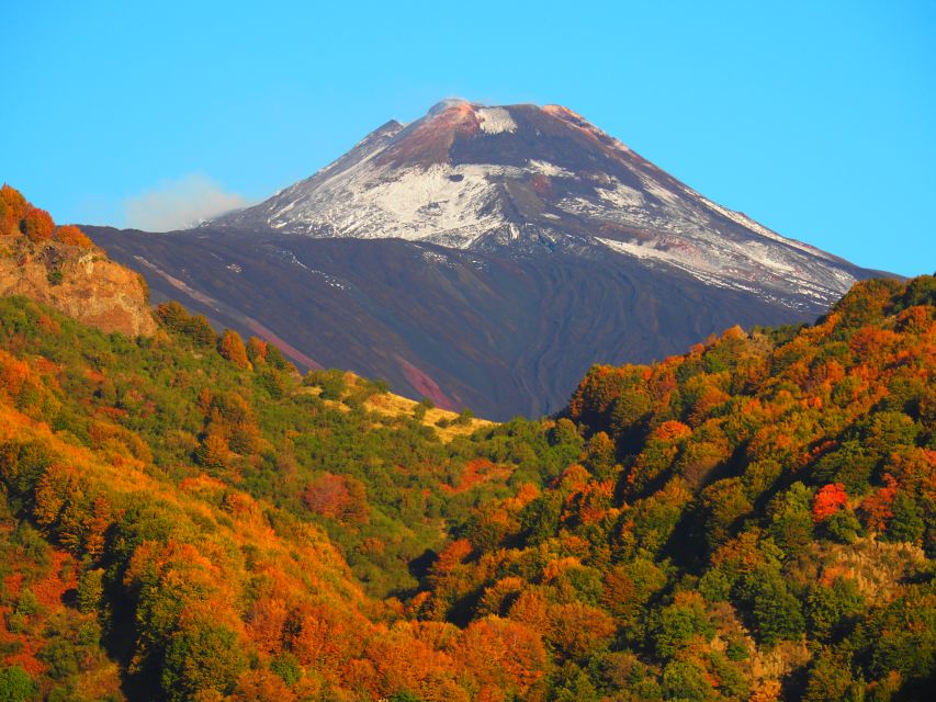 Sicily: Mount Etna's North Slope Craters Guided Hike Tour - Along the lava flow edge: getting your bearings on a living volcano