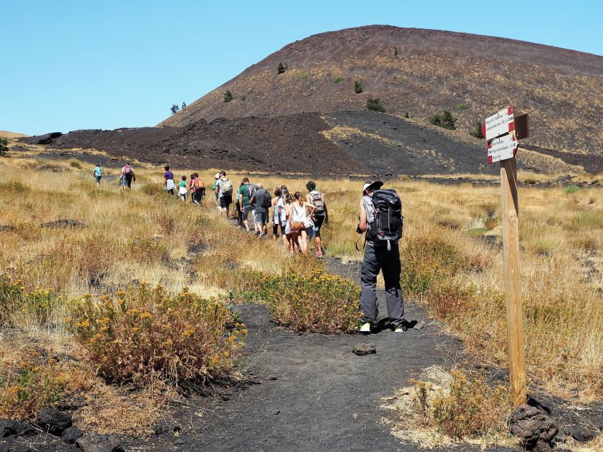 Sicily: Mount Etna's North Slope Craters Guided Hike Tour - Beeches to badlands: why the forest stretch is more than a warm-up