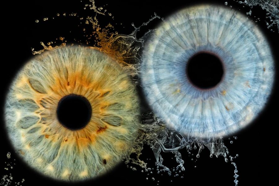 Siracusa Iris Photography Experience - Key points worth knowing before you go