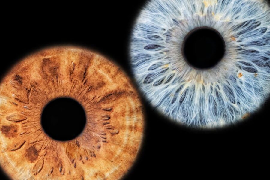 Siracusa Iris Photography Experience - Why your iris makes a better souvenir than another Syracuse photo