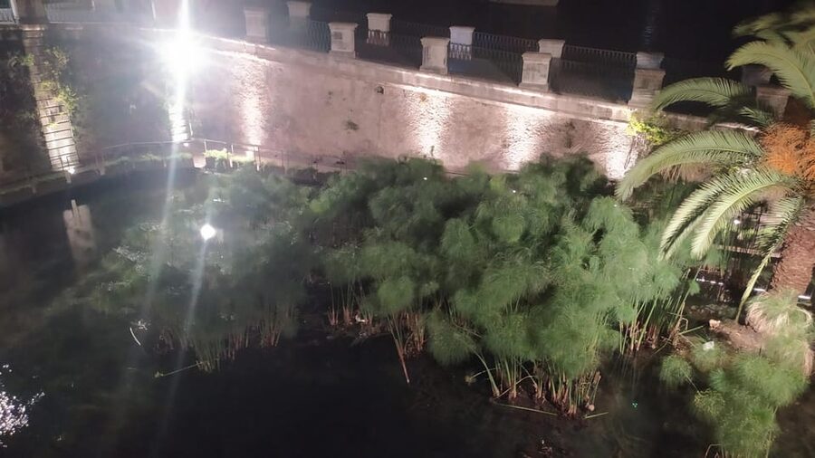 Siracusa Tour: Ortigia by Night in English - Your route through Ortigia: from Apollo to Fonte Aretusa