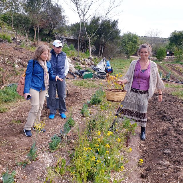 Slowlife Family Farm: From Garden to Table - Should You Book Slowlife Family Farm From Garden to Table?
