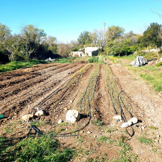 Slowlife Family Farm: From Garden to Table - Olive Oil and Wine Tasting That Fits the Slow Food Theme