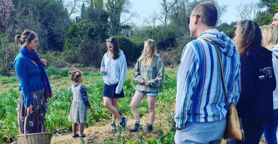 Slowlife Family Farm: From Garden to Table - Price and Logistics for a Small-Group Farm Day
