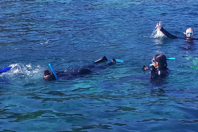Snorkeling - The Boat Transfer: Why This Part Is Worth It