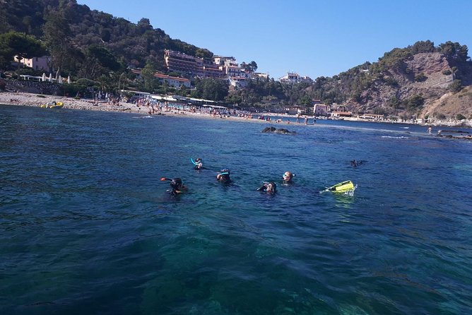 Snorkeling - The Team Experience: Professional, Helpful, and Human