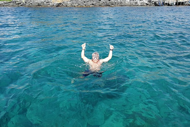 Snorkeling Tour from Catania - The marine biologist factor: why it makes the tour worth it