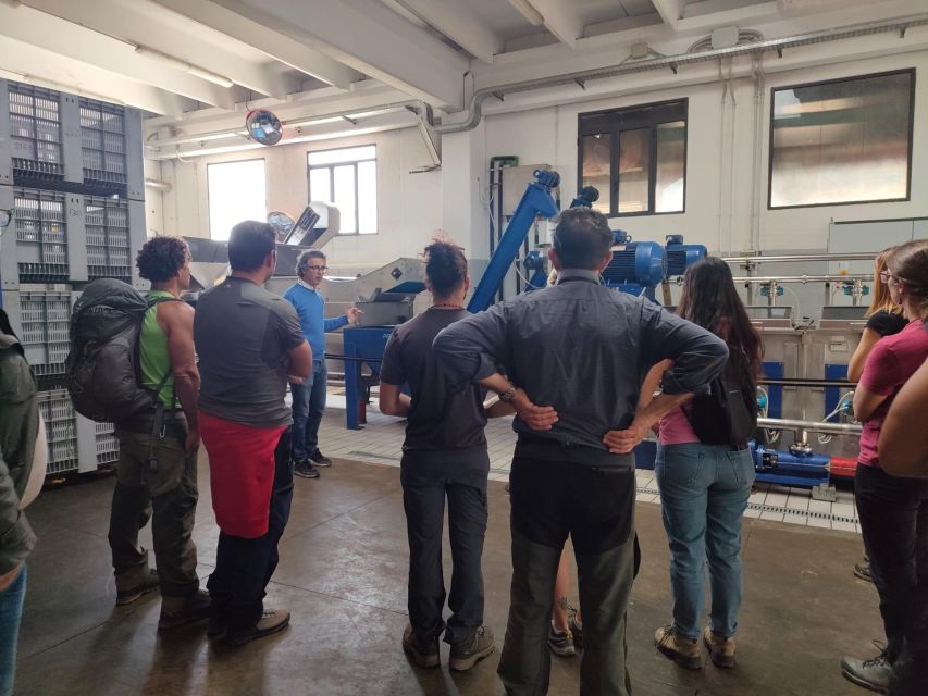 Sortino: Olive Oil tasting with Sicilian Products and Wine - Virtual Reality Harvest Season: Seeing the Steps, Even Off-Season