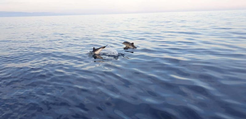 Sunset tour in search of dolphins with aperitif - Key Things I’d Book This For