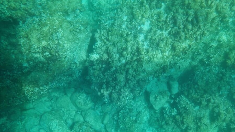 Syracuse: Coast and Sea Caves Full Transparent Boat Tour - 50 Minutes Along Ortigia and the Siracusa Coast