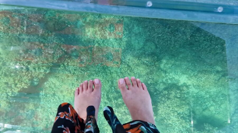 Syracuse: Coast and Sea Caves Full Transparent Boat Tour - Marine Life Through the Seabed View, plus the Underwater Photo Moment