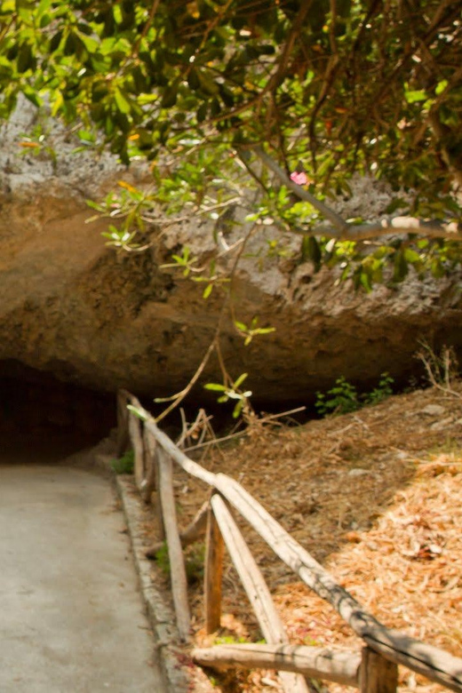 Syracuse: Greek Theater and Neapolis sunset tour - Syracuse Roman Amphitheater: gladiator tales in real stone