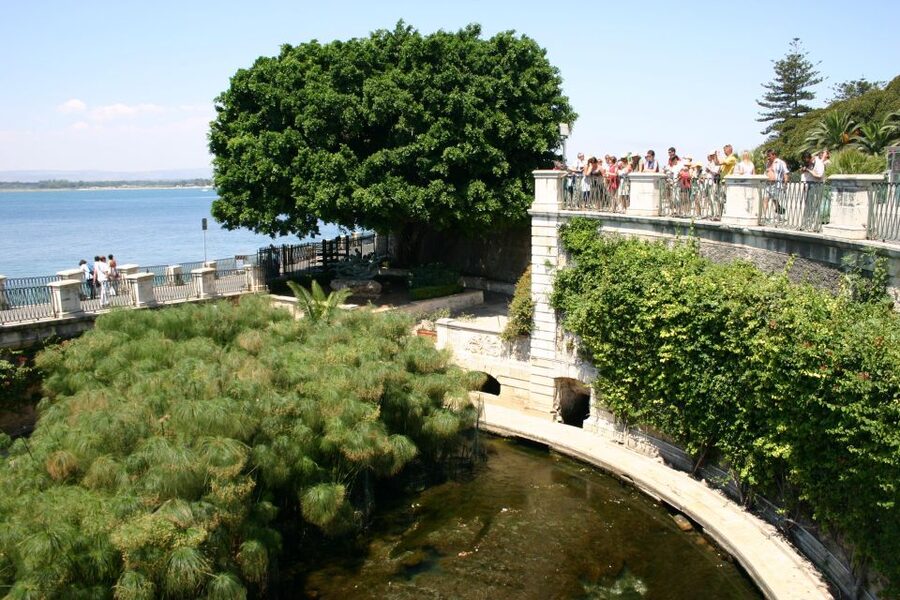 Syracuse: Ortigia Classic Walking Tour - Piazza Archimede and Diana Fountain: the city’s squares in walking distance