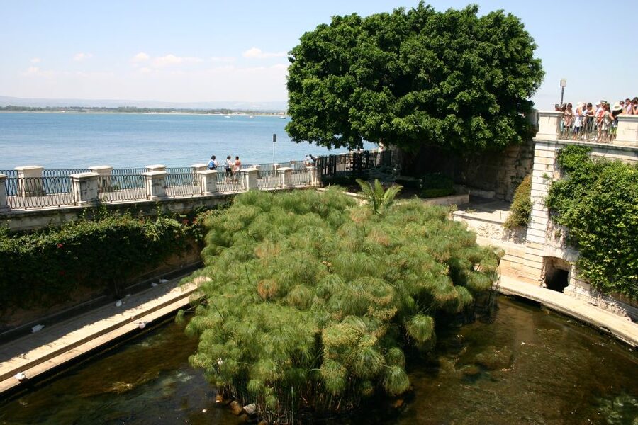 Syracuse: Ortigia Private Walking Tour - Through the Jewish Quarter and Via Maestranza: Reading the City’s Social Map