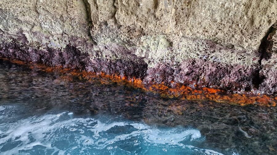 Syracuse:Snorkeling+Pillirina, Ortigia & sea caves boat tour - Prosecco, Fruit, and the Onboard Mood