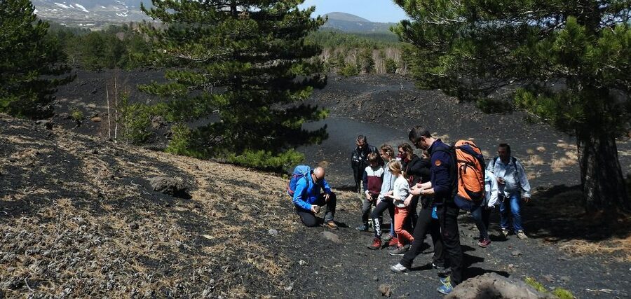 Taormina and Catania: Private Etna Exploration and Cave Tour - Etna Park Time: Lateral Crater Walking and Off-Road Views