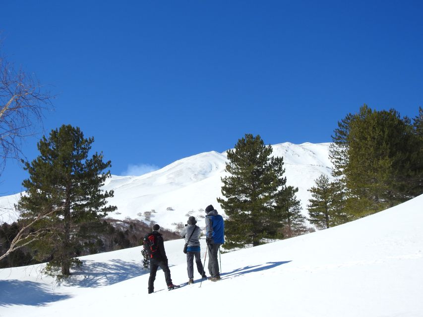Taormina and Catania: Private Etna Exploration and Cave Tour - What to Bring (and What to Leave Behind) for a Comfortable Etna Day