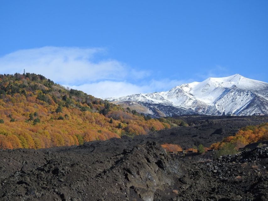 Taormina and Catania: Private guided Etna hike by cable car - Hot crater access and crater-area views