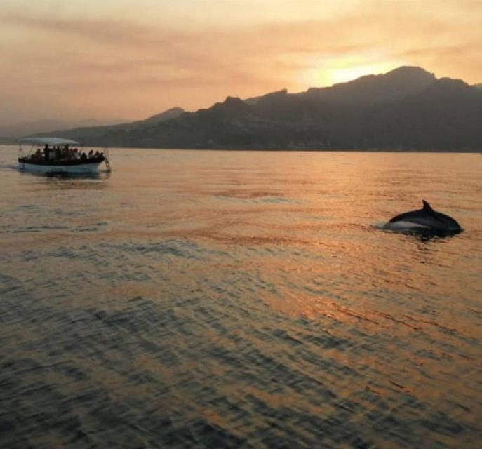 Taormina Coast Tour and Searching Dolphins - Price and value at about $67.97 for 2.5 hours