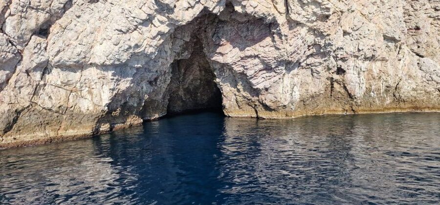 Taormina Coast Tour and Searching Dolphins - Why the Taormina Coast and Dolphins combo feels special