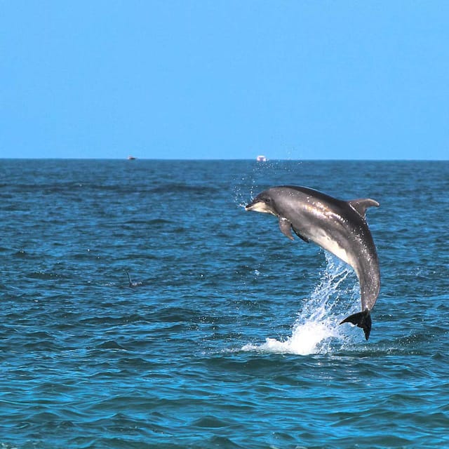 Taormina: Private Boat Tour with aperitif - Dolphins and marine life, when the sea cooperates