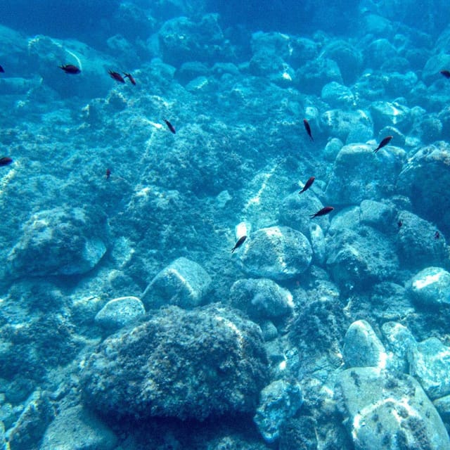 Taormina: Private Boat Tour with aperitif - Price and value for a private 3-hour boat tour