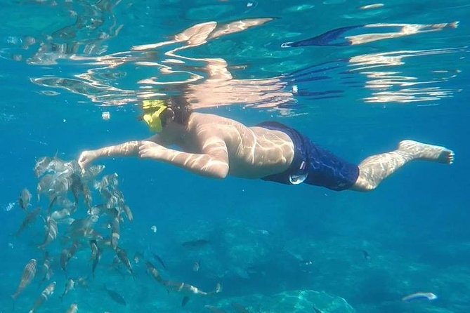 Taormina snorkeling experience - A Taormina Snorkeling Trip That Shows the Coast From the Best Angle