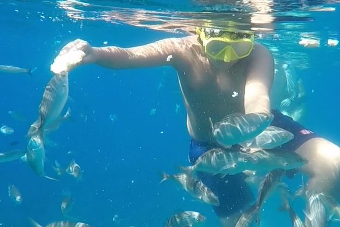 Taormina snorkeling experience - The Second Snorkel Site Near Taormina, Where Variety Comes In