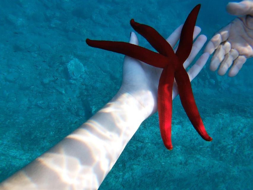 Taormina: White Lotus Tour - Grotta Azzurra, the Blue Grotto: why it matters for photos and mood